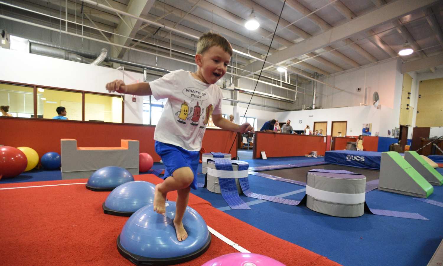 School Year Camps at Northern Hemisphere Gymnastics