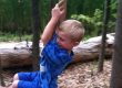 Summer Camp - Northern Hemisphere Gymnastics